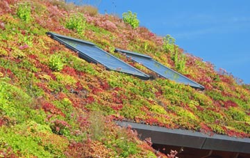 Llangammarch Wells living roof systems